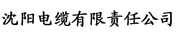 饭团影视电缆厂logo